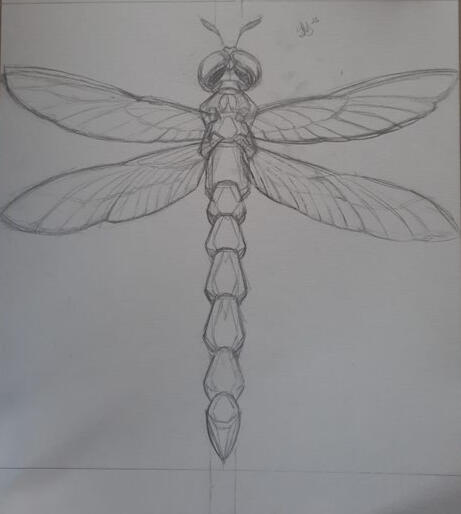 Jeweled Dragonfly Concept Sketch