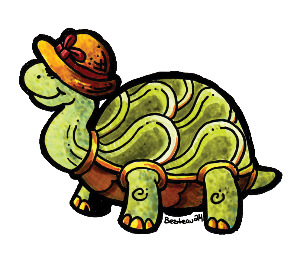 Tortoise Sticker