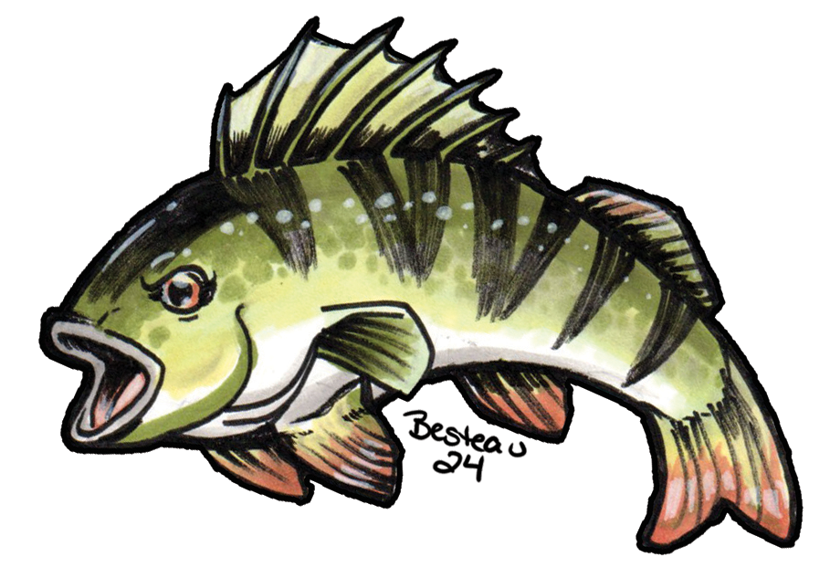 Perch