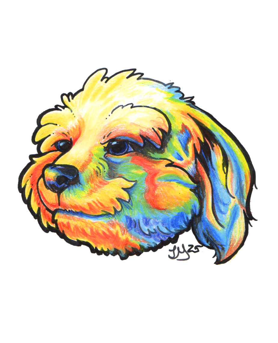 Illustration done with ink and colored pencil.