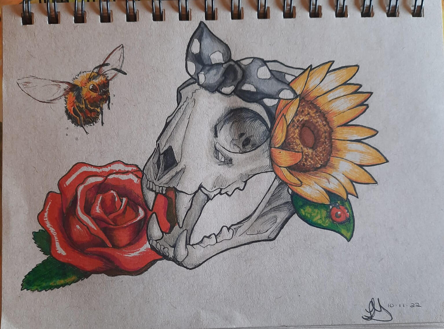 An illustration of a bobcat skull adorned with a bandana and flowers. This piece is done with pigma ink pen on multimedia drawing paper.